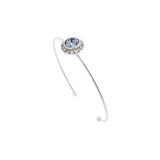 Ted Baker Stainless Steel Sappelle Bangle