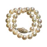 Mikimoto Akoya Pearl Classic Collection With Signature 18ct Yellow Gold Clasp Bracelet