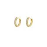 Dana Gold Plated Hoop Earrings