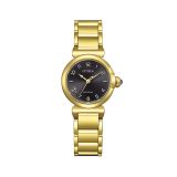 Photo of the Citizen L Mae 26mm, Grey Dial, Gold Tone Stainless Steel, Eco-Drive Watch EM1132-88H