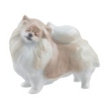 Lladro Pomeranian